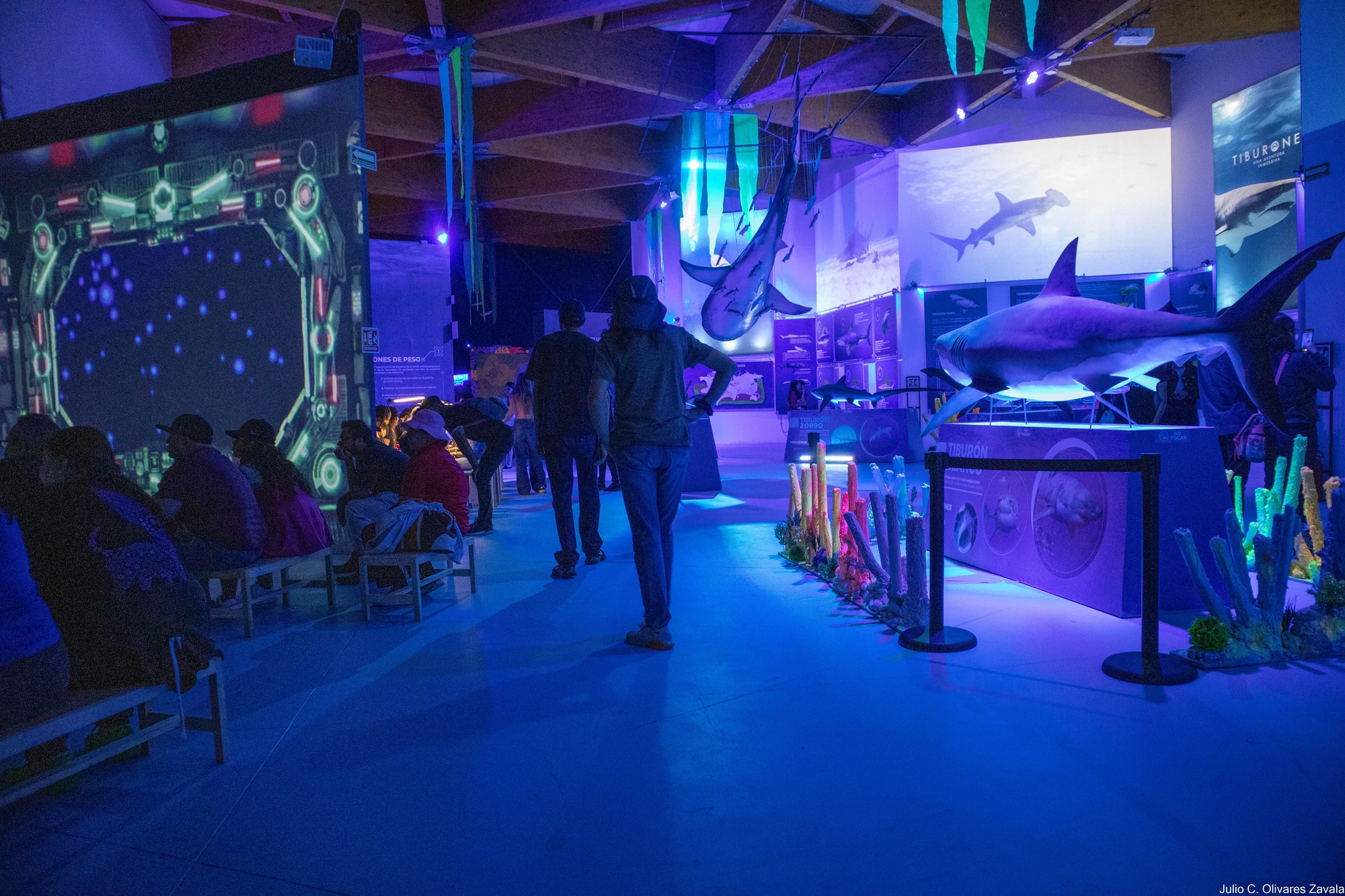Exposición Tiburones Zoológico Chapultepec CDMX