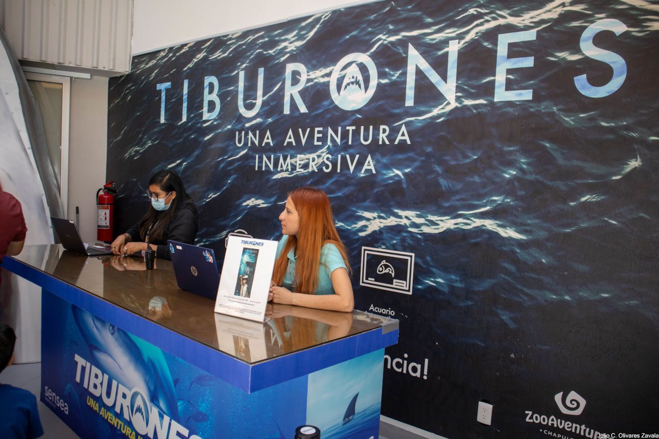 exposición con realidad virtual de tiburones